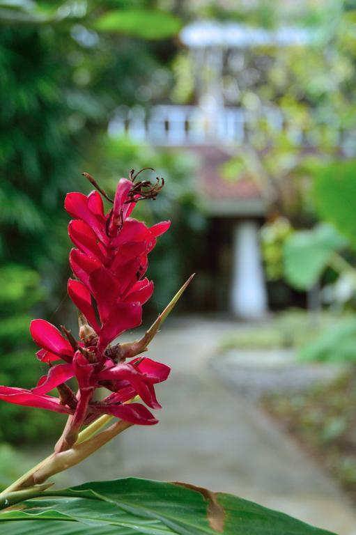Desa Nyima Hotel Seminyak  Ngoại thất bức ảnh